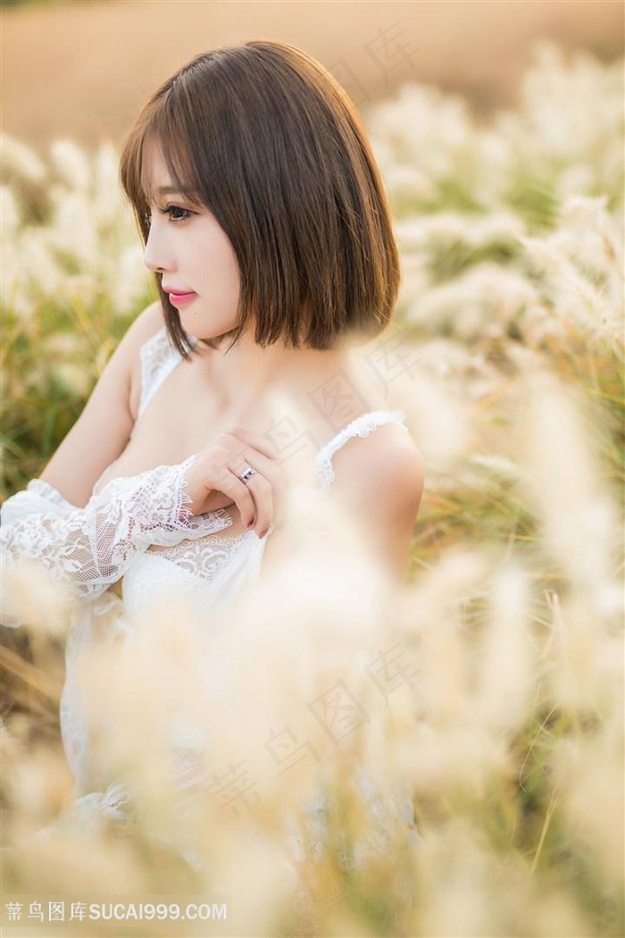 门在线观看免费完整版