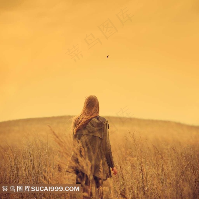 法医秦明5