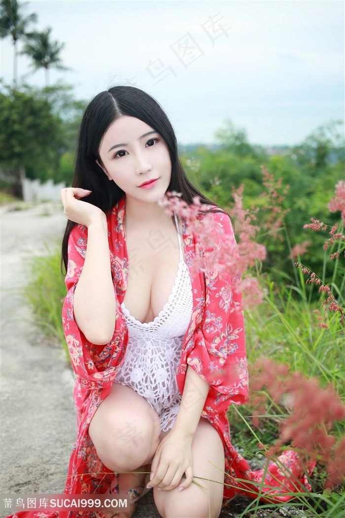 电视剧 铁梨花
